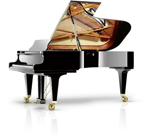 grand-piano-rental-delhi